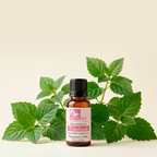 Óleo Essencial de Patchouli - 10ml